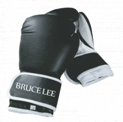Bruce Lee Allround Boxing Gloves 10oz - Fitshop